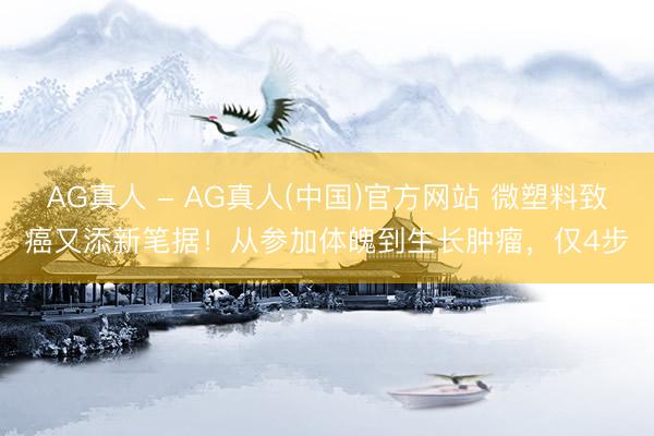 AG真人 - AG真人(中国)官方网站 微塑料致癌又添新笔据！从参加体魄到生长肿瘤，仅4步
