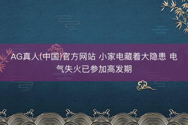 AG真人(中国)官方网站 小家电藏着大隐患 电气失火已参加高发期
