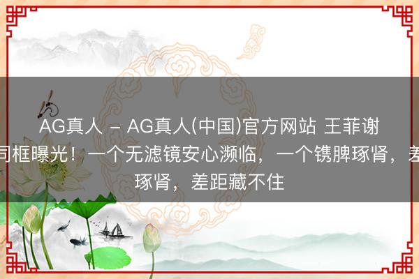 AG真人 - AG真人(中国)官方网站 王菲谢霆锋暗里同框曝光！一个无滤镜安心濒临，一个镌脾琢肾，差距藏不住