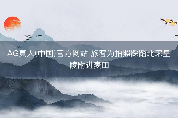 AG真人(中国)官方网站 旅客为拍照踩踏北宋皇陵附进麦田