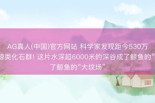 AG真人(中国)官方网站 科学家发现距今530万年前的鲸类化石群! 这片水深超6000米的深谷成了鲸鱼的“大坟场”